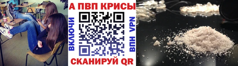 как найти   Поронайск  A PVP крисы CK 
