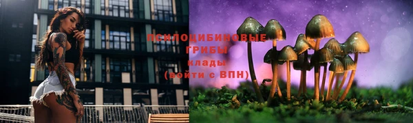 прущий лед Нягань